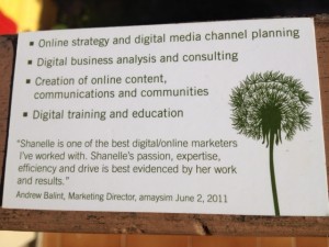 Testimonial about Shanelle Newton Clapham's Digital Marketing Consulting work in Sydney, from Andrew Balint, Amaysim Marketing Director