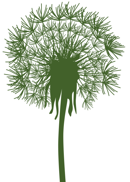 The Parachute Digital dandelion represents the content linkages across the internet