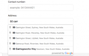 Google Smart Address on donation page