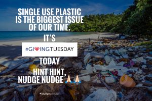 Single Use Plastic Call to ACtion for Giving Tuesday campaign for Charity Matchmaker